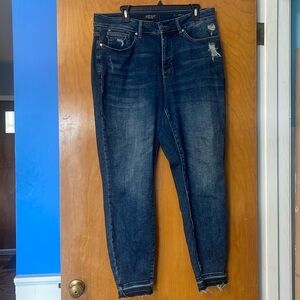 Judy Blue Skinny Jeans 16w